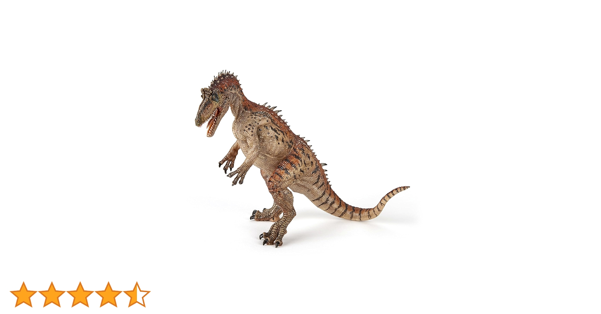 71gXc8n5hcL.jpg_BO30,255,255,